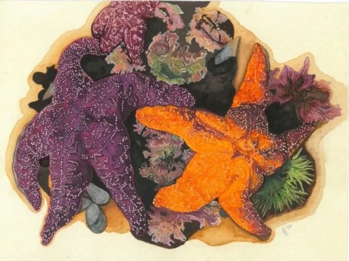 SeaStar+Best.jpg