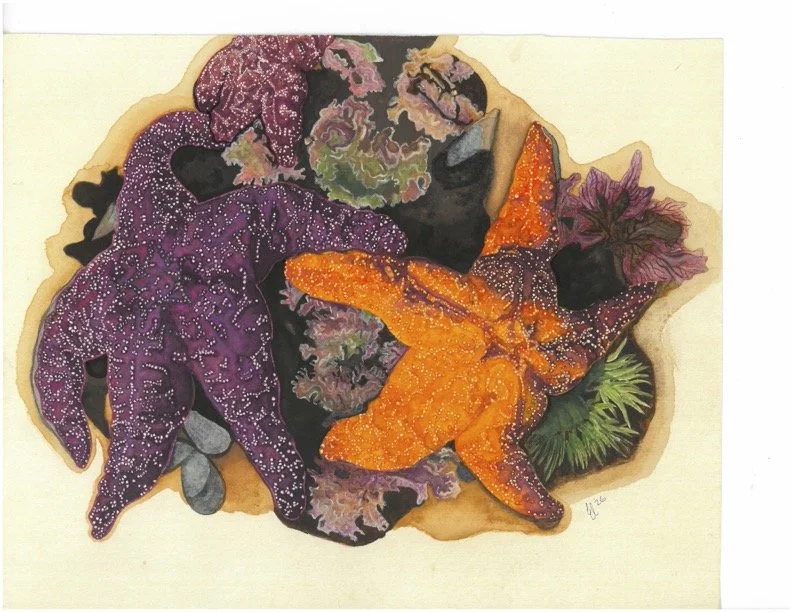Sea Star Print