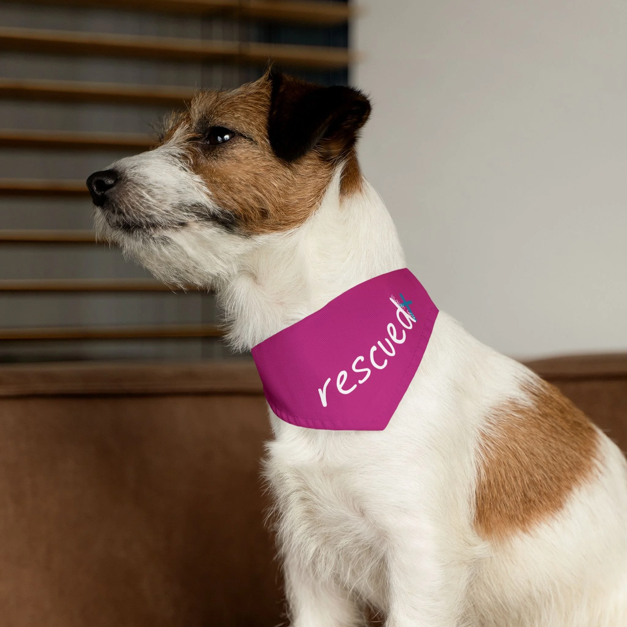"Rescued" Pet Bandana Collar — (matching to Lily's Cruiser Line") PINK