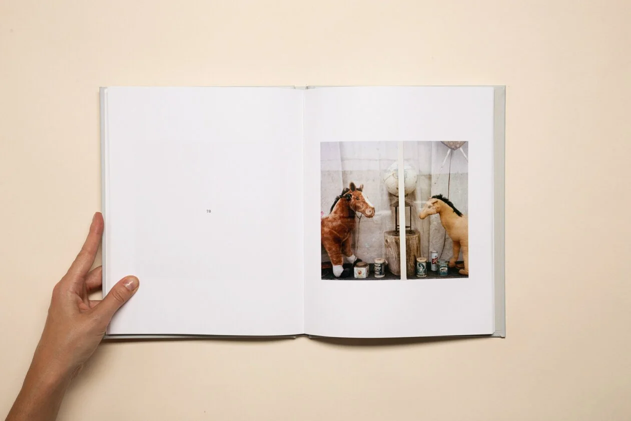 Open book showing two photographs of stuffed horses, one brown and one beige, in an indoor setting with paint cans and a lamp.