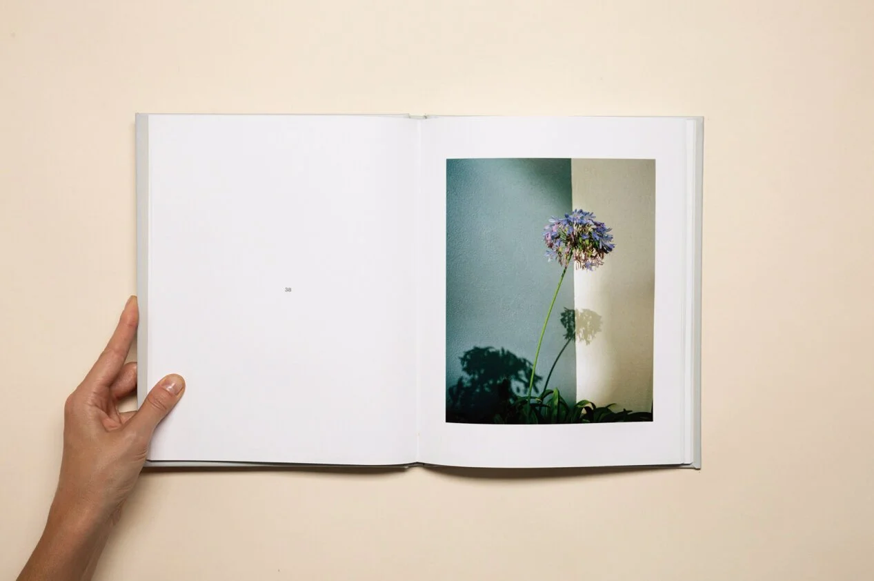 Open book showing a photograph of a purple flower with a tall green stem cast a shadow on a light-colored wall.