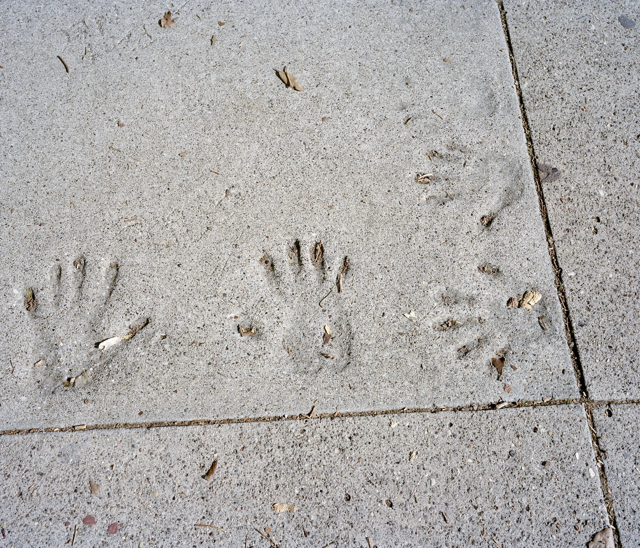 Image_015.jpg