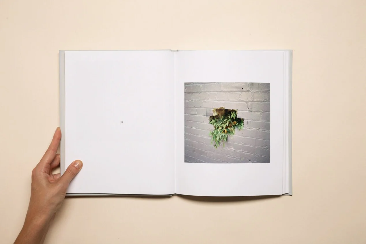 Open book showing a photograph of a small window cut into a white brick wall, with green plants growing inside the window opening.