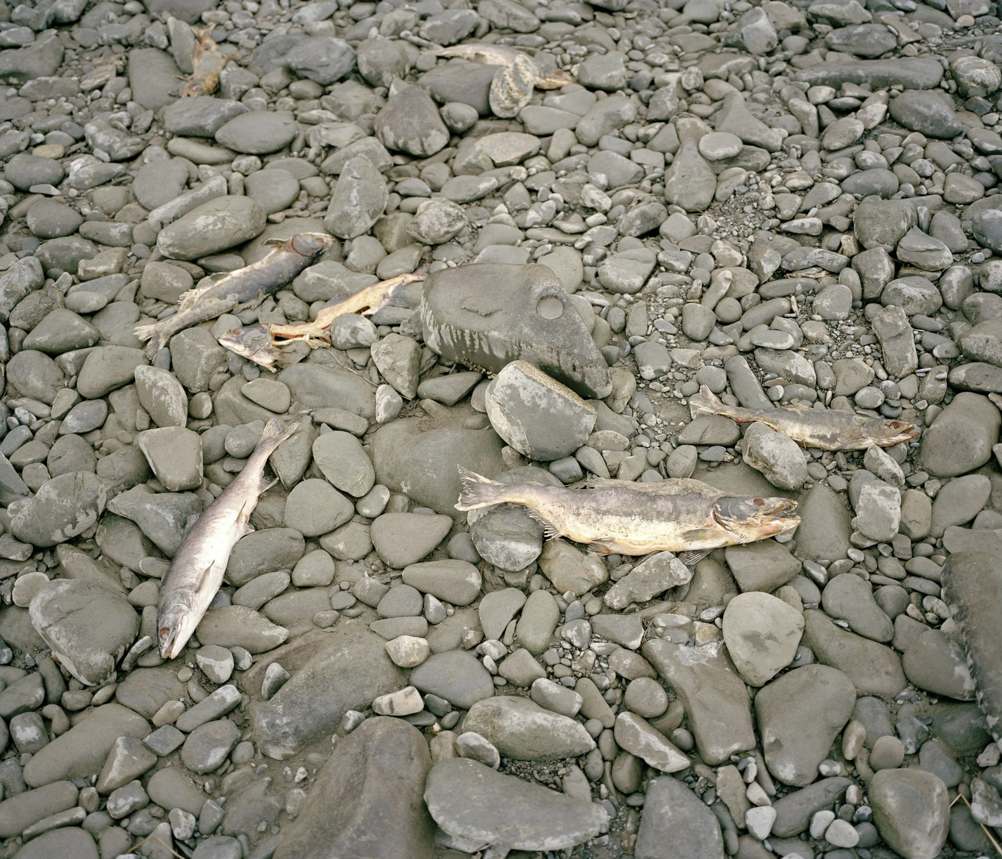 Image_065.jpg