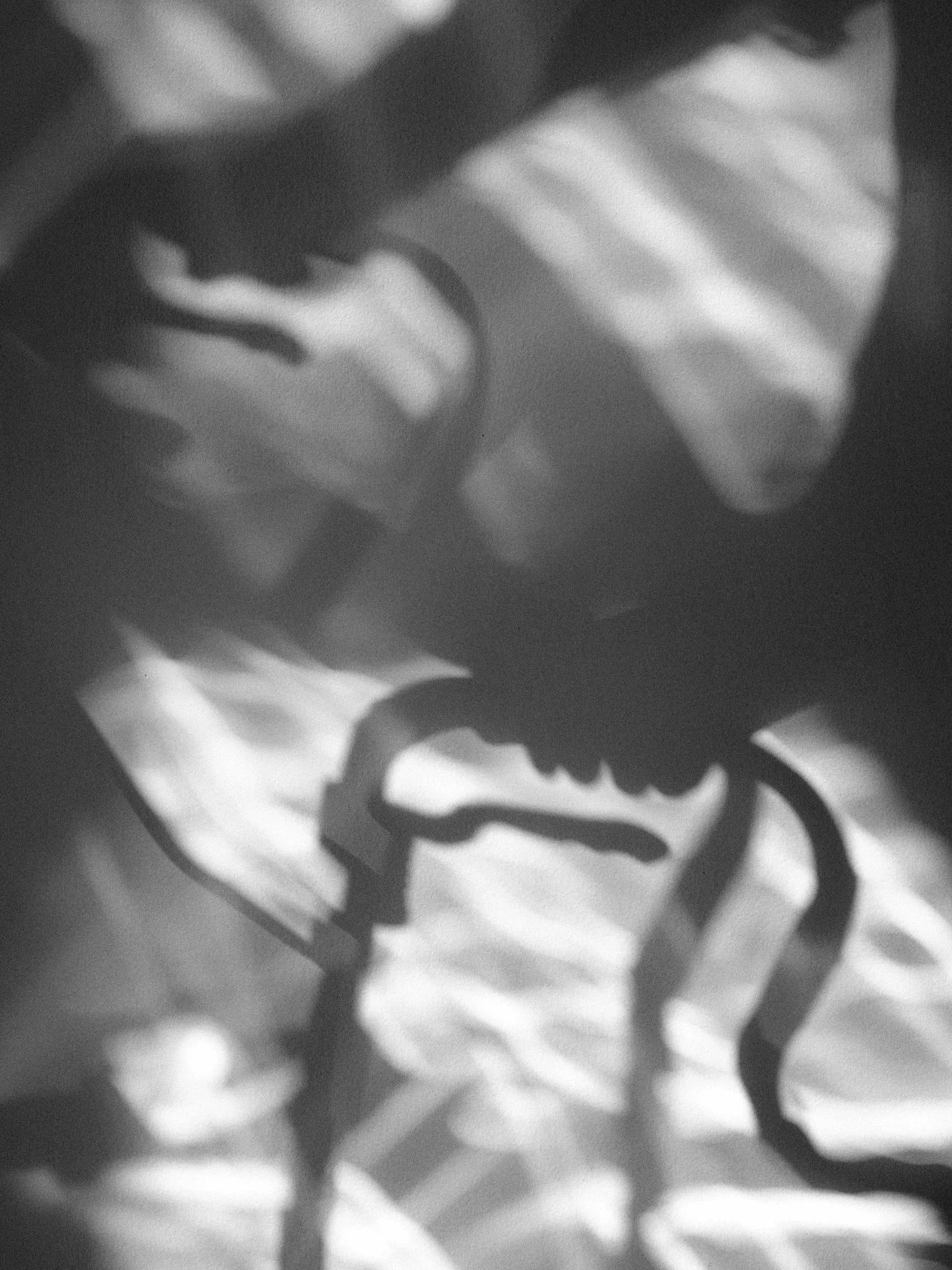 IMG_0435.jpeg