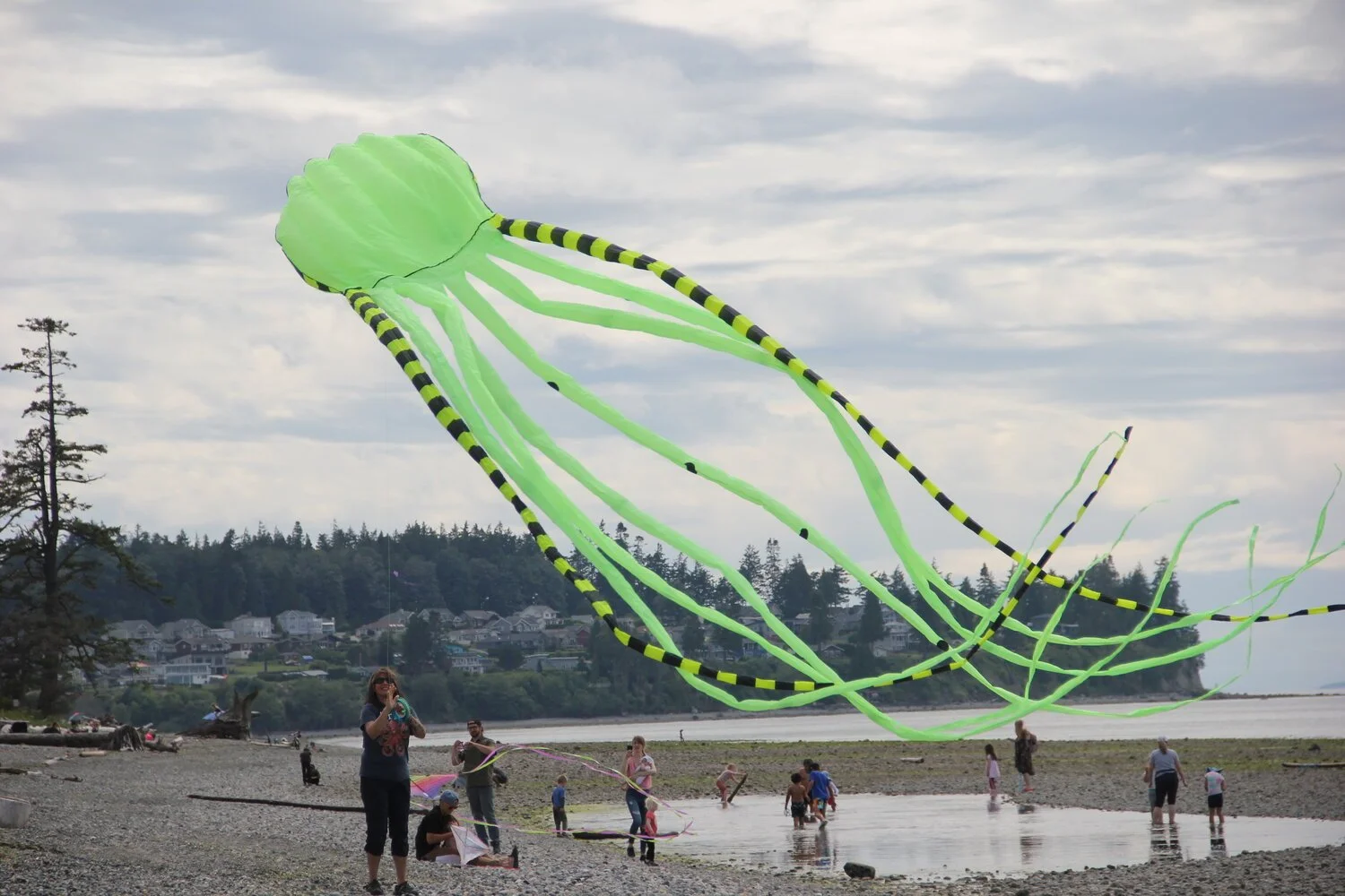 Birch Bay Kite Fest