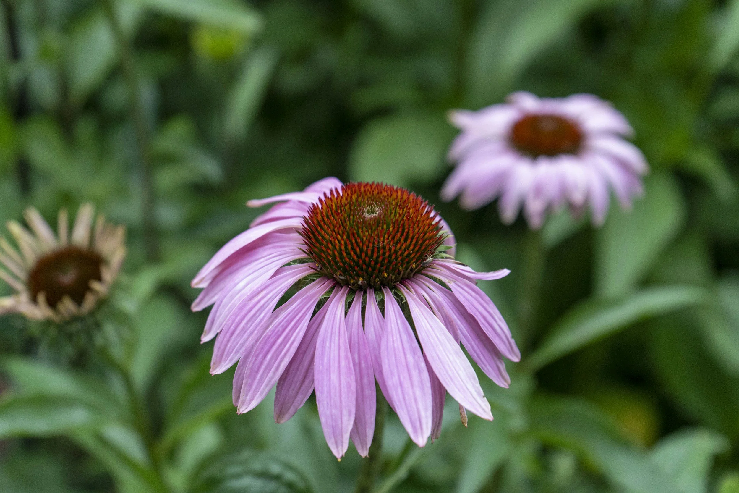 unsplash-image-bQtZ0uXKpxk.jpg