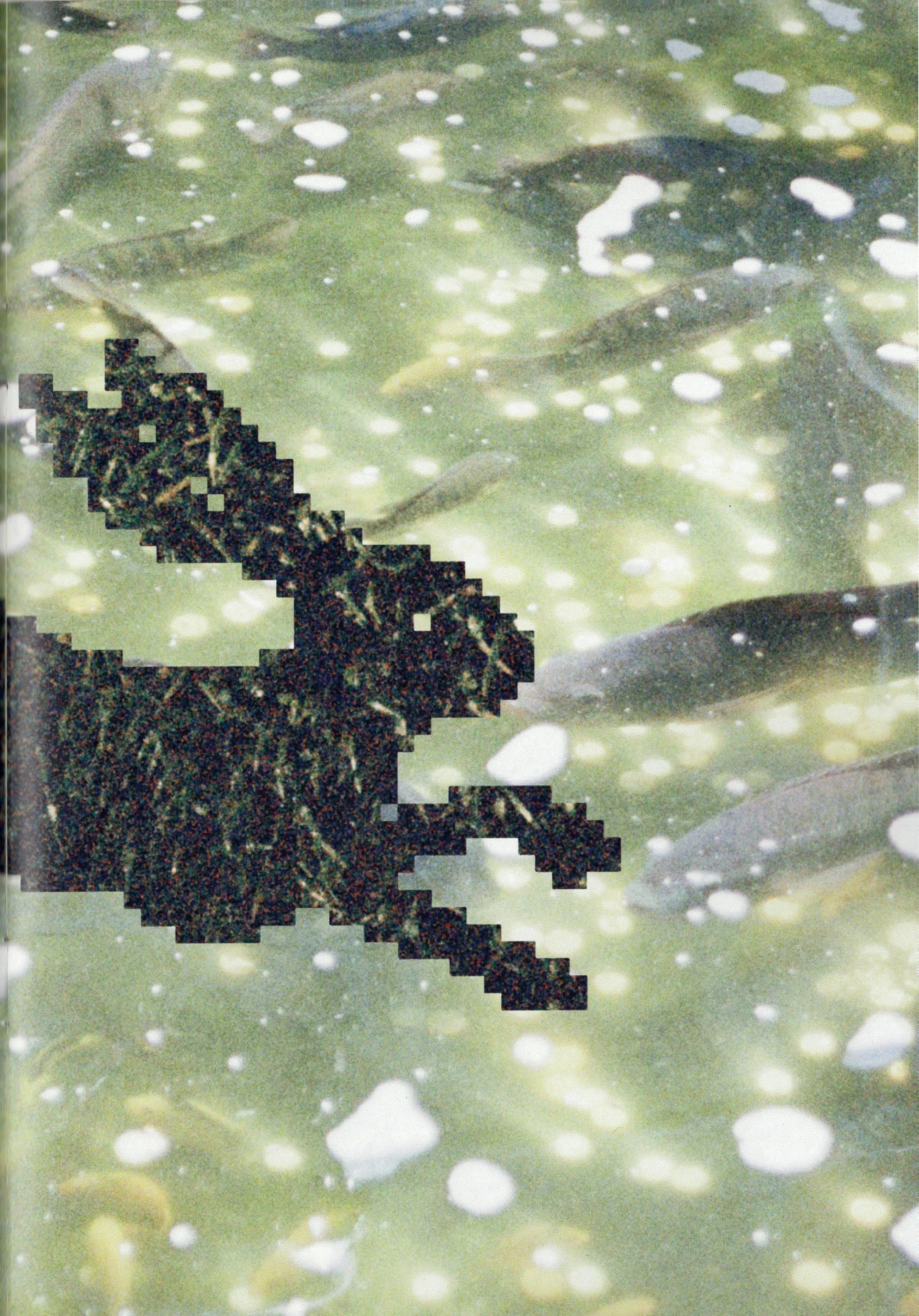 07.JPG