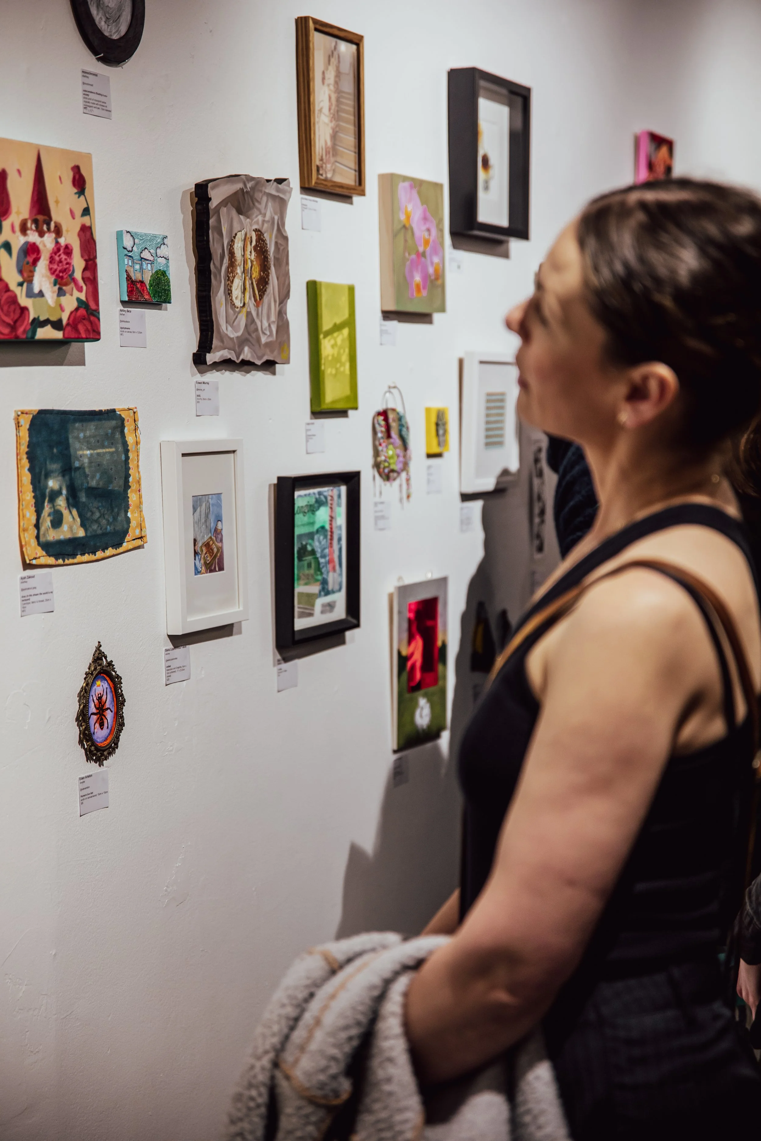 Exhibition for Ants 2.0, Unassigned Gallery, 2024