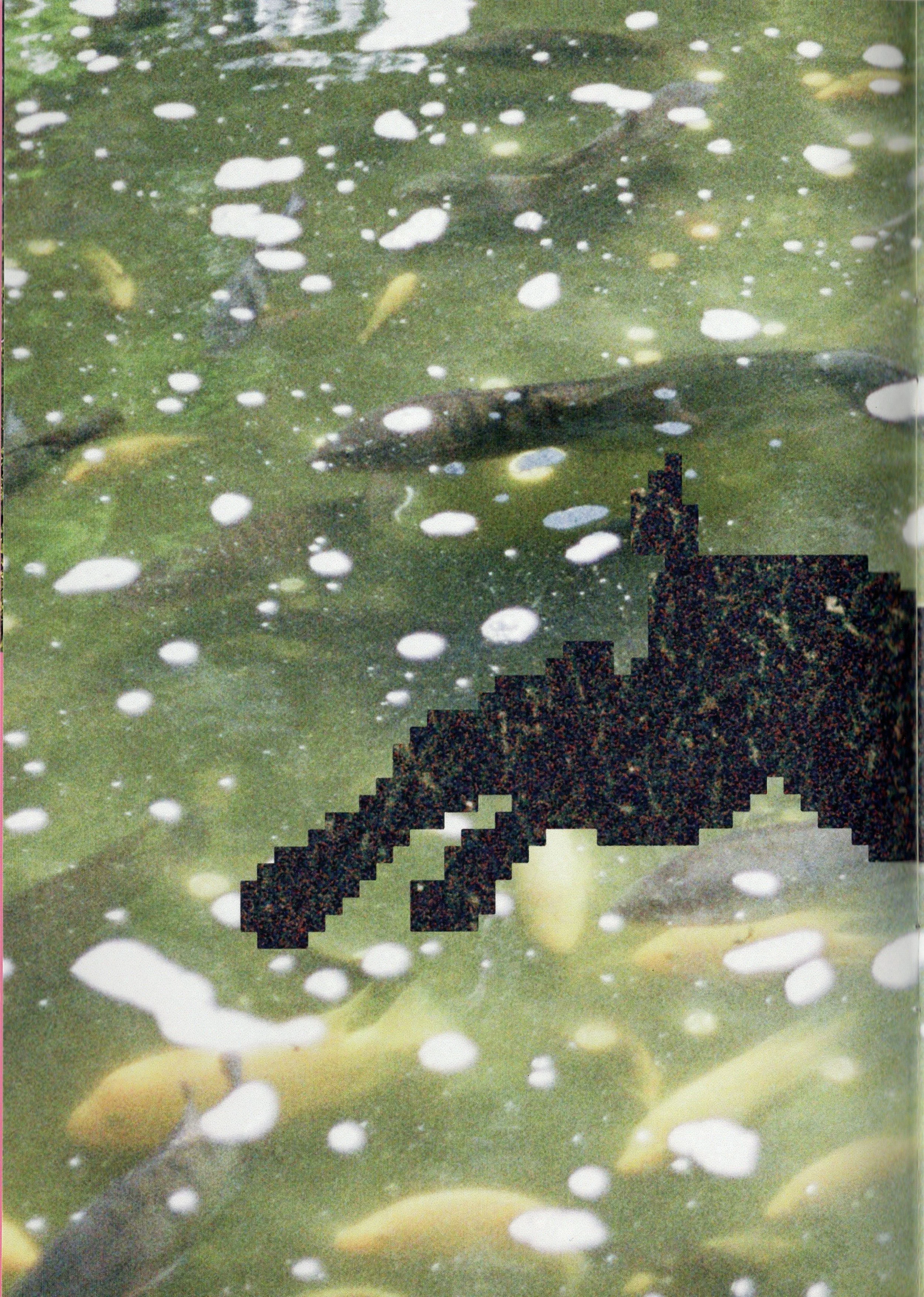 06.JPG