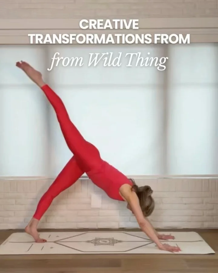 Wild Thing into creative transitions🌸

Strength can be playful and soft while still being powerful. I like to use Wild Thing as a place to move from, exploring different transitions with control, breath, and support instead of treating it as a final