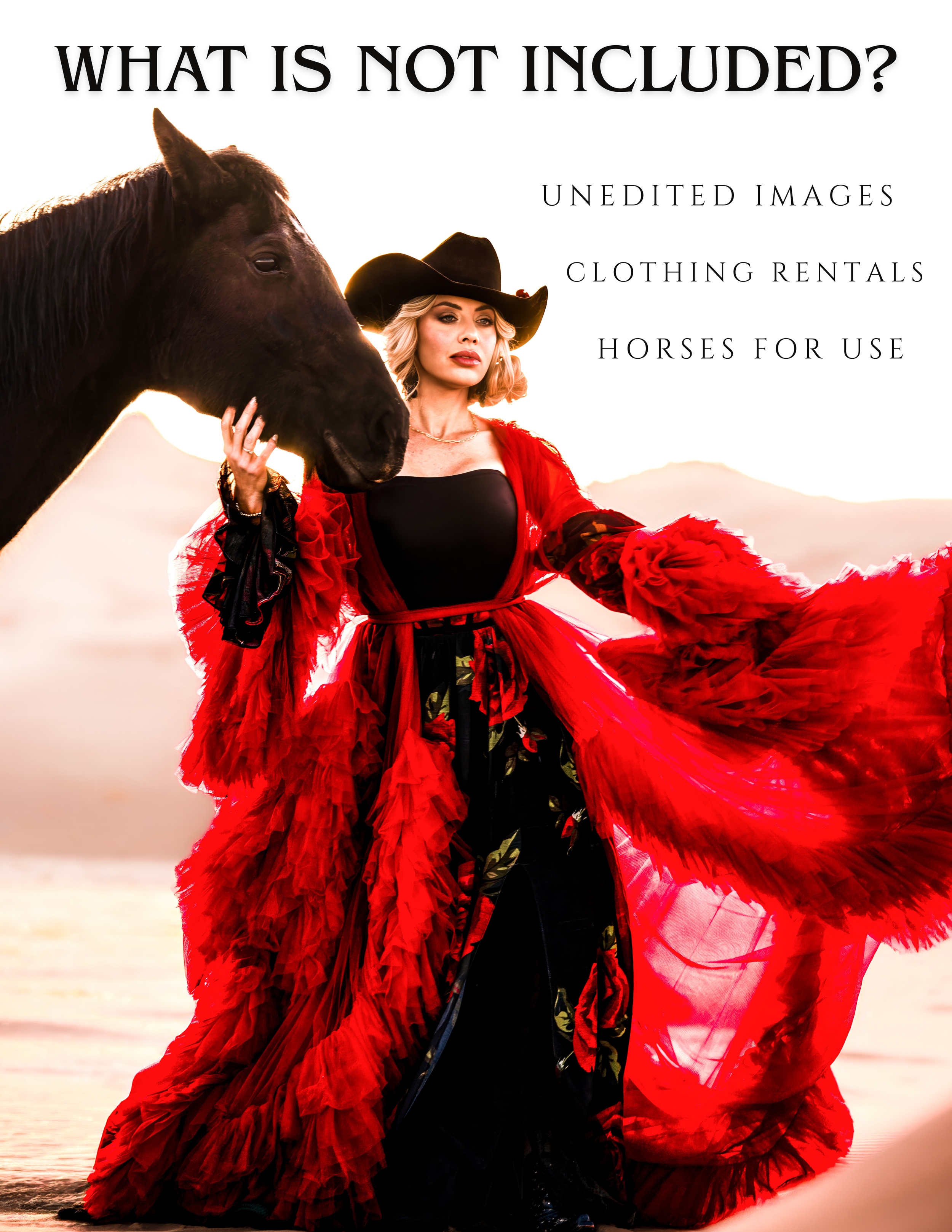 Lane Equine Photography-2.png