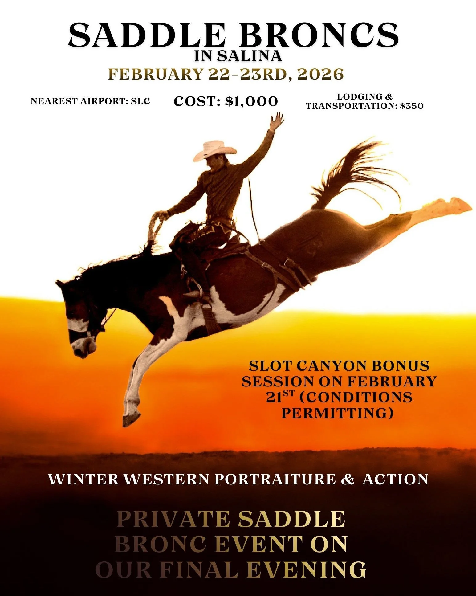 𝑺𝑨𝑫𝑫𝑳𝑬 𝑩𝑹𝑶𝑵𝑪𝑺 𝑰𝑵 𝑺𝑨𝑳𝑰𝑵𝑨