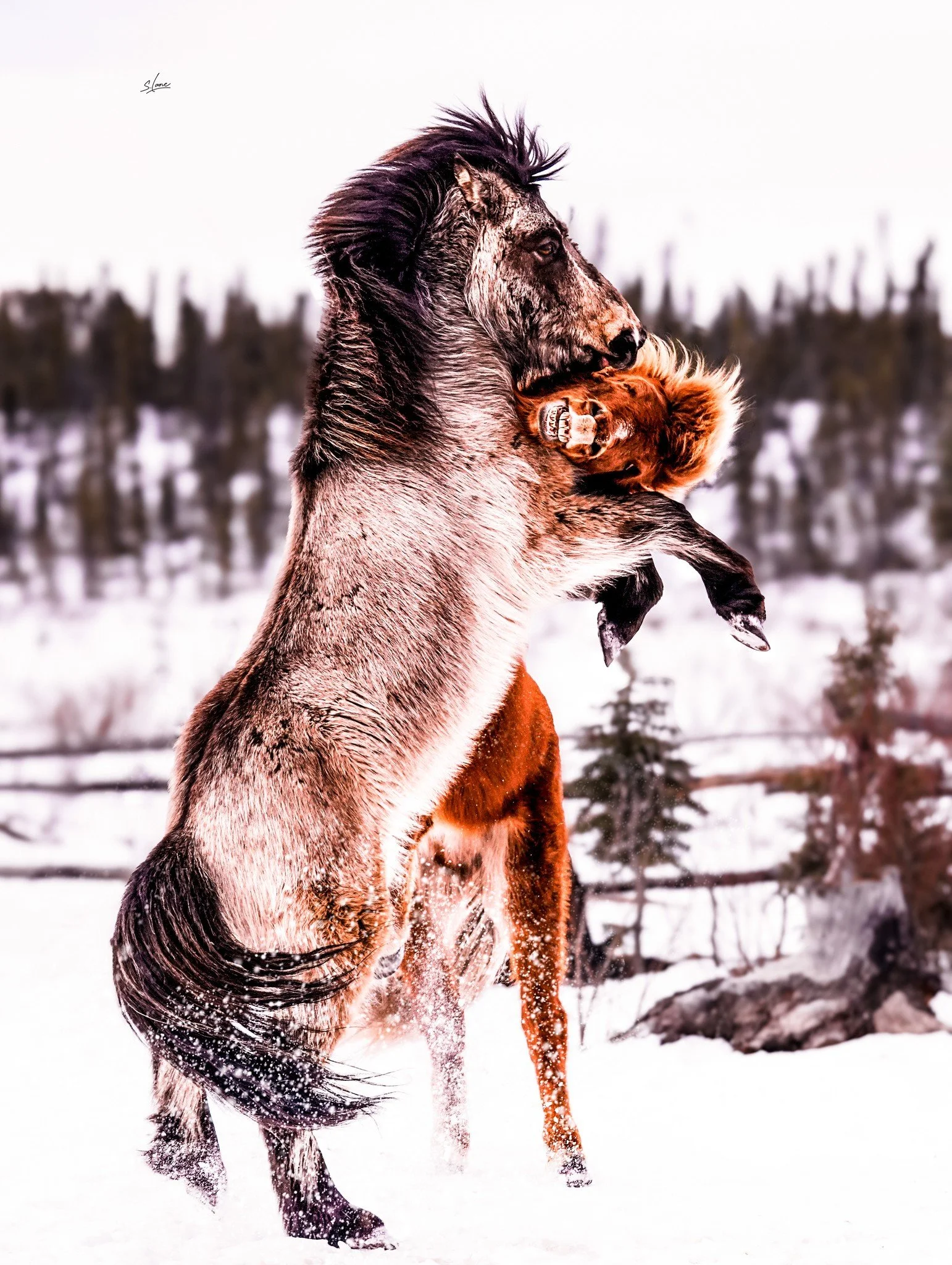 𝑨𝑳𝑨𝑺𝑲𝑨 𝑹𝑬𝑻𝑹𝑬𝑨𝑻