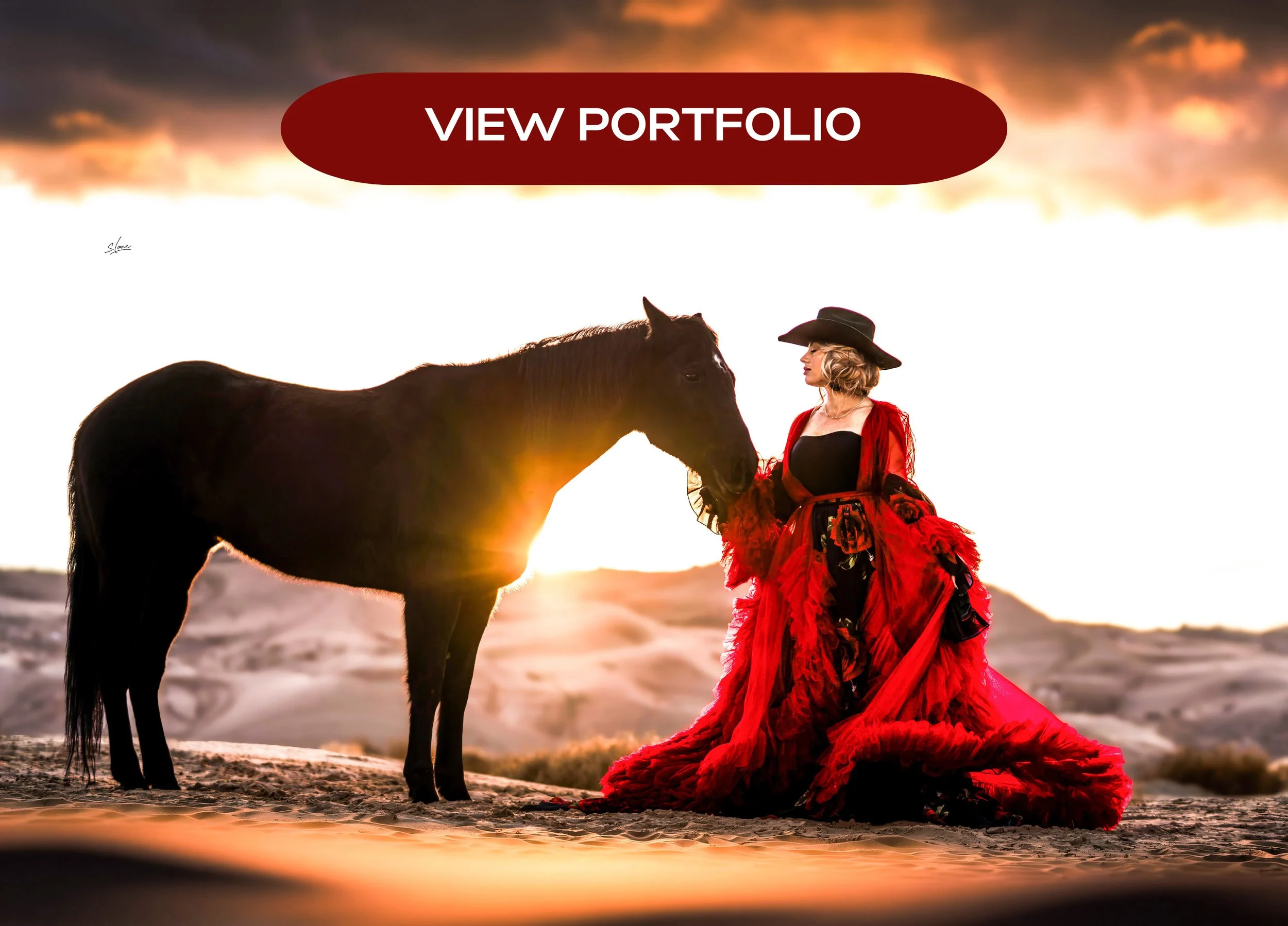Lane Equine Photography-6.jpg