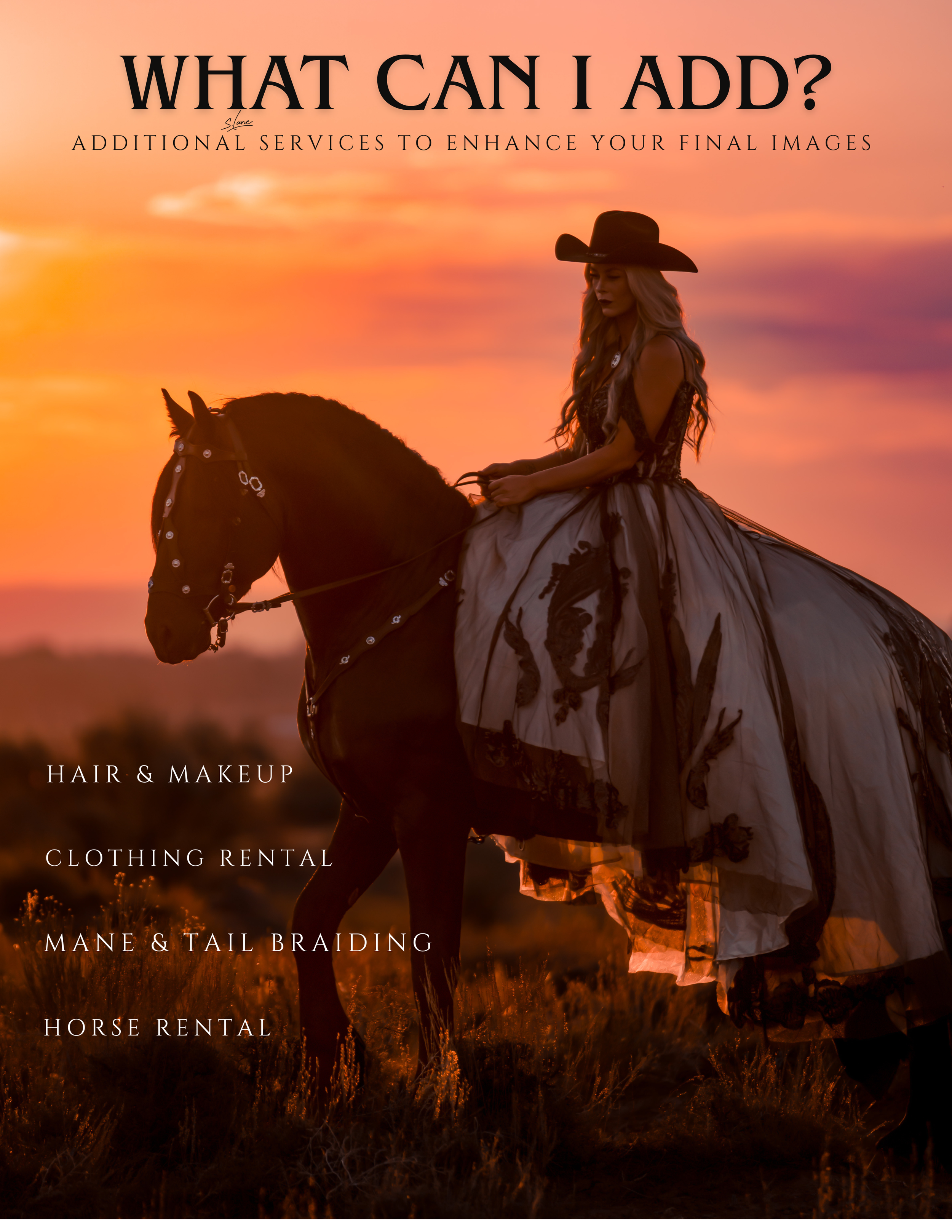 Lane Equine Photography-3.png