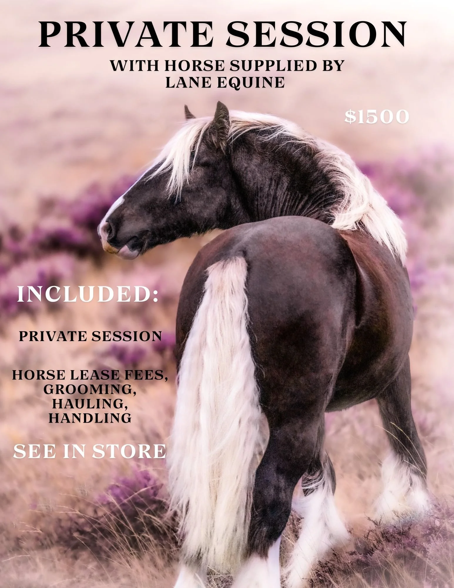 MODEL & PRODUCT LIST-12.jpg