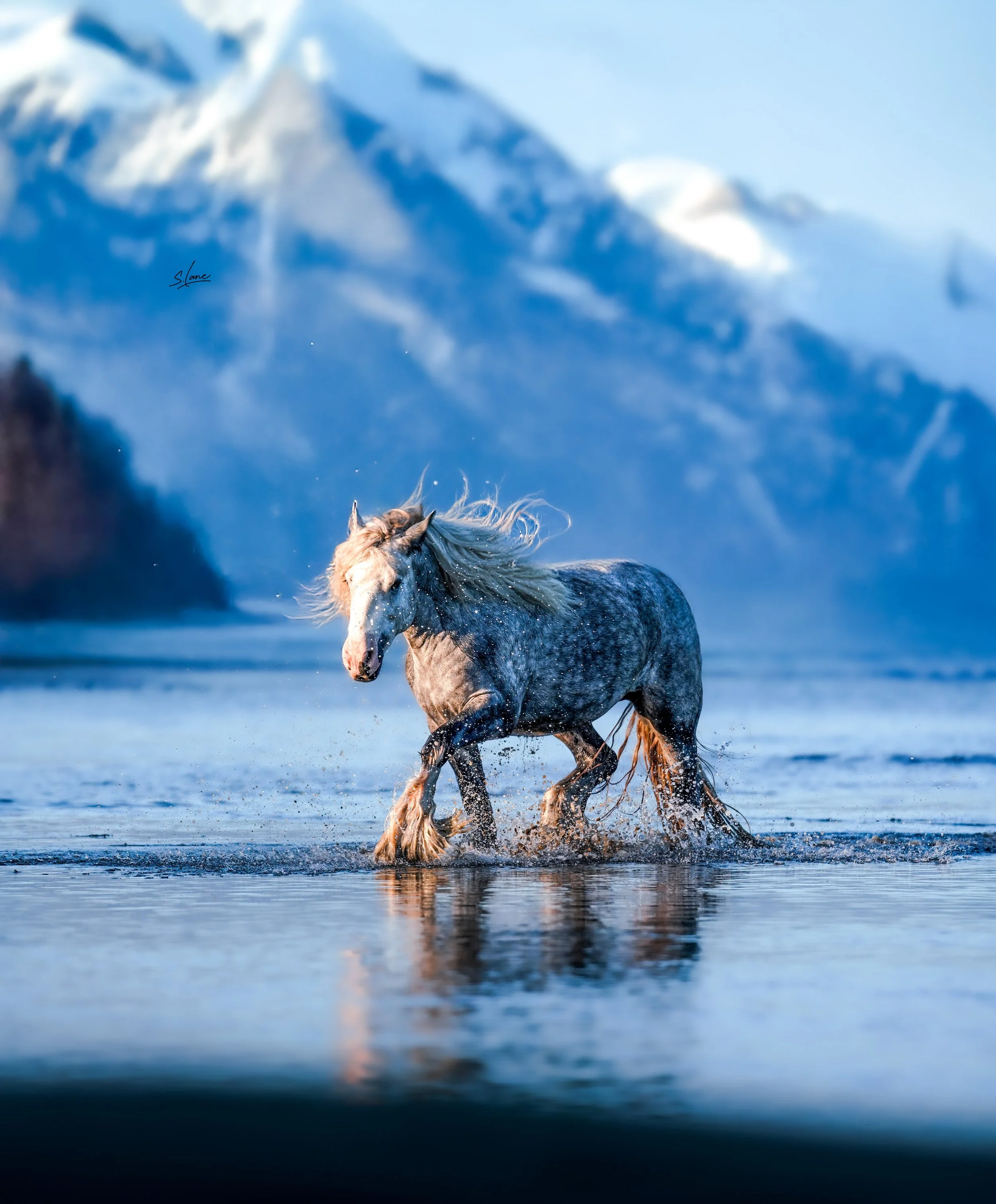 𝑮𝑹𝑶𝑼𝑷 𝑺𝑬𝑺𝑺𝑰𝑶𝑵