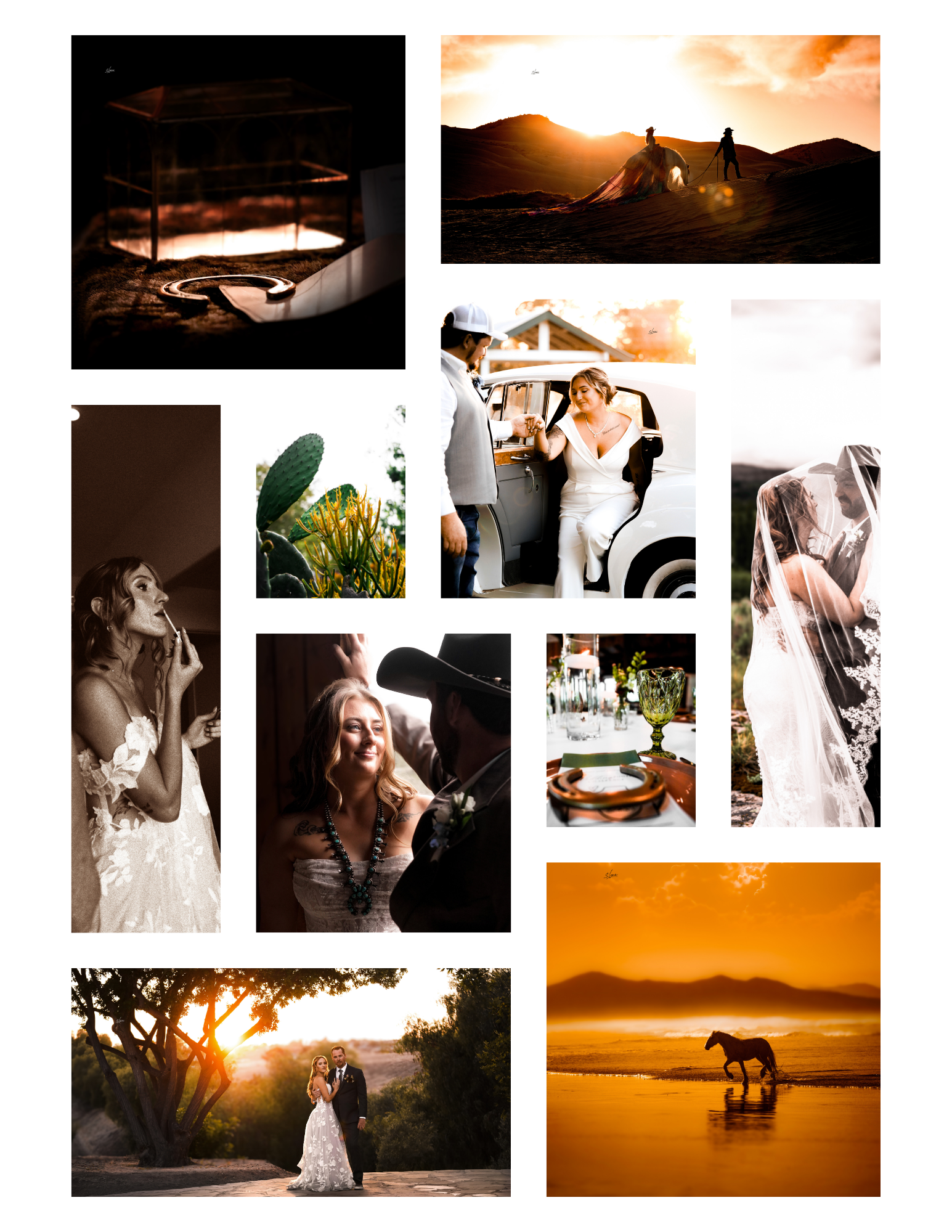 Lane Equine Photography-9.png