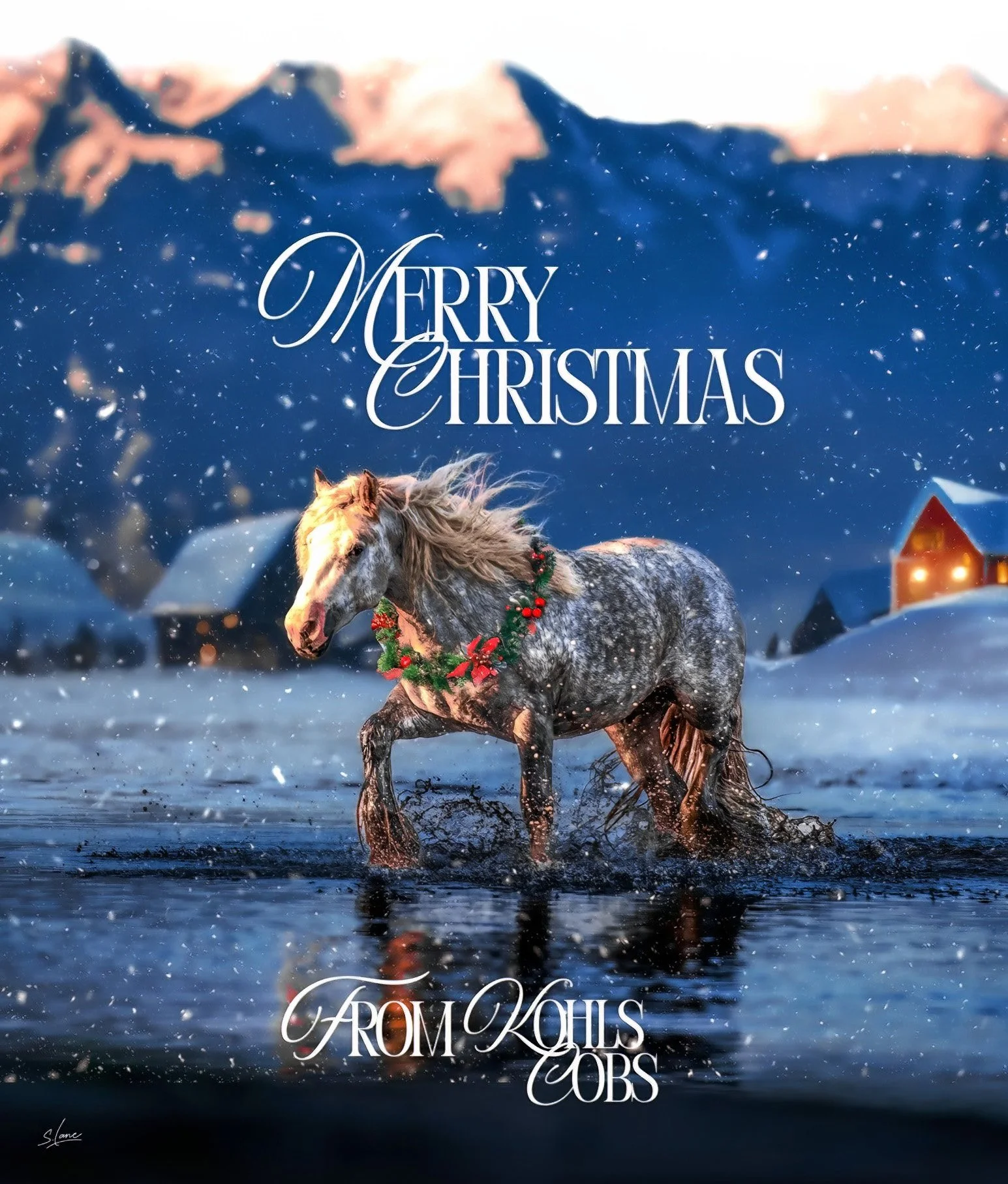 MODEL & PRODUCT LIST-8-topaz-denoise.jpg