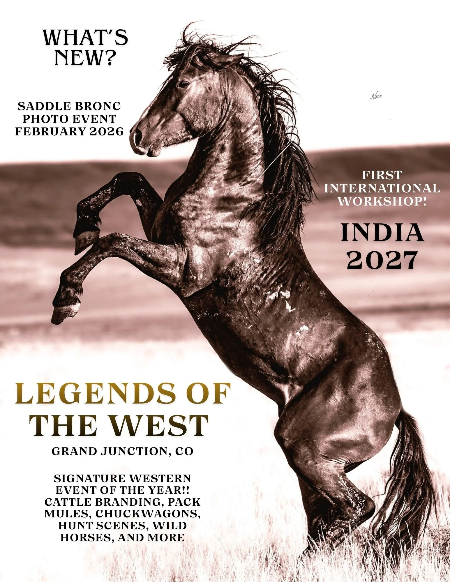 MODEL & PRODUCT LIST-22.jpg