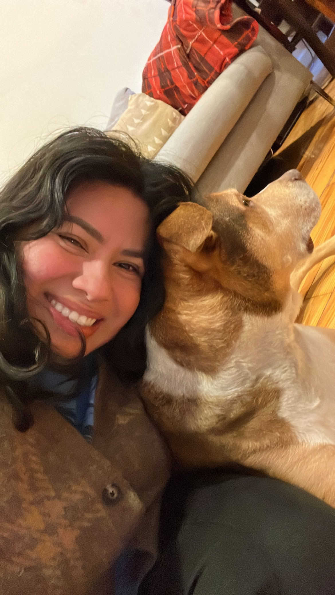 I love dogs and cats equally.