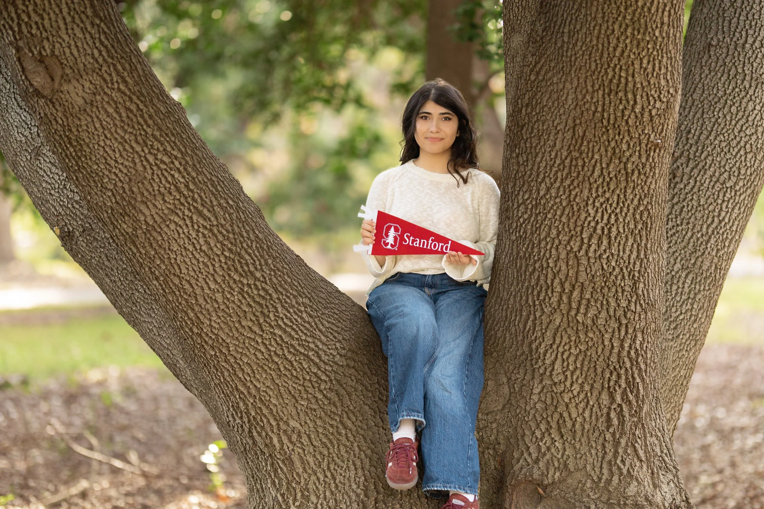 A young woman sitting in a tree with multiple thick branches, holding a red Stanford pennant, surrounded by a green, leafy, outdoor setting.