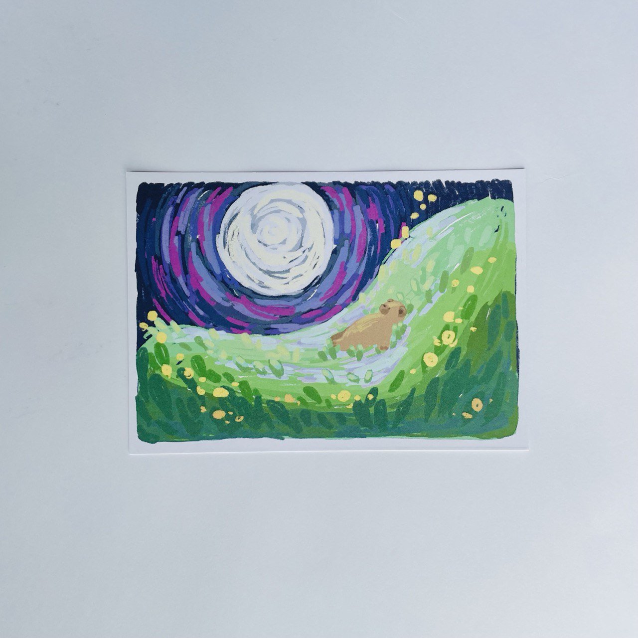Midnight Stargazing Postcard