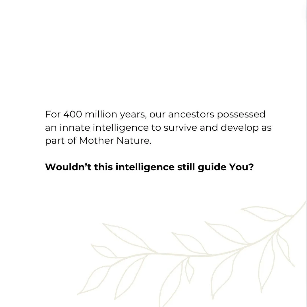 Accessing the Ecological Self through Honoring Feeling ~~~~

For 400 million years, our ancestors possessed an innate intelligence to survive with Mother Nature. Every generation before us, was selected for by the ability to reproduce before being ea
