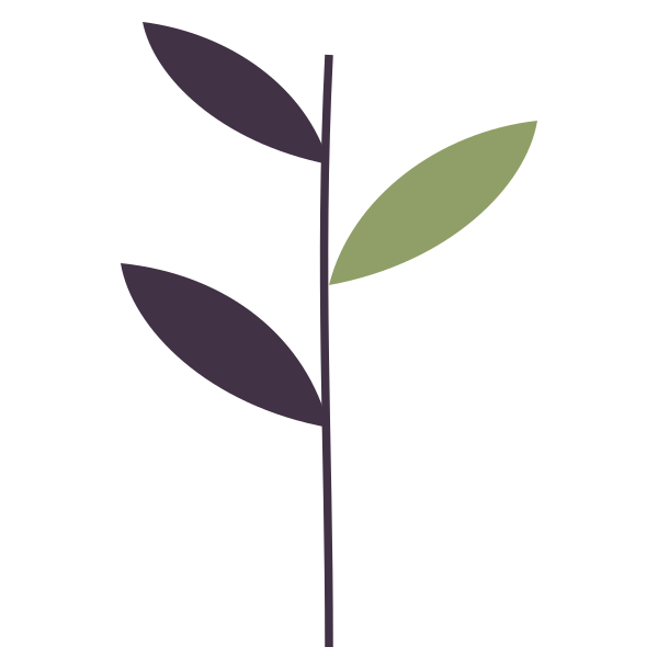 Illustration of a plant with purple and green leaves.