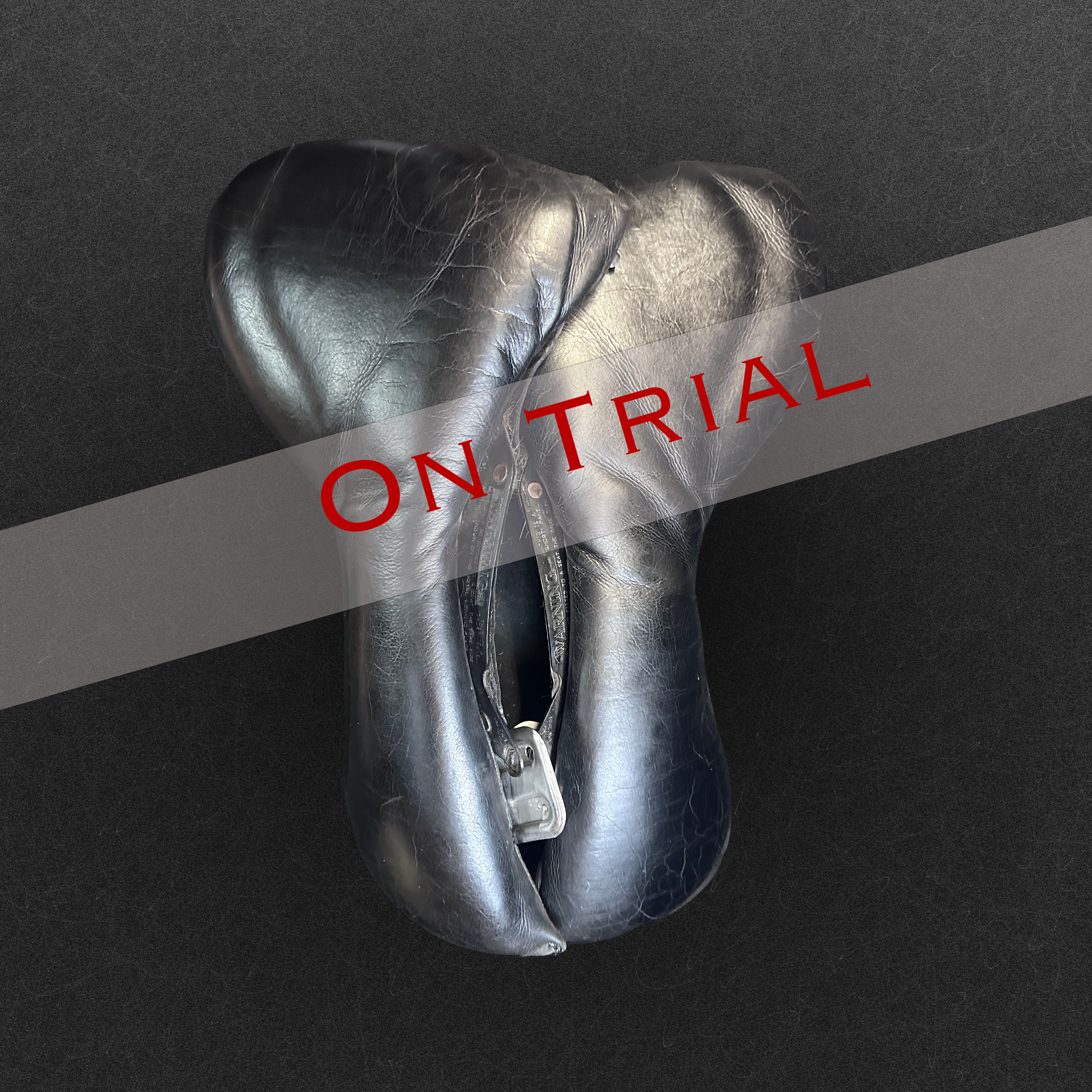 P30_On Trial above.png