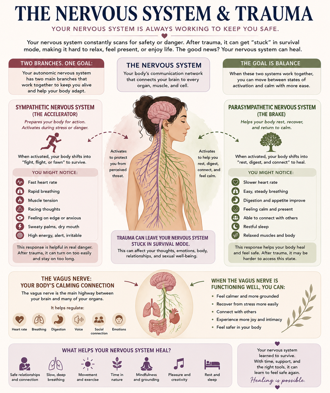 Nervous system. Sex Therapy in Scottsdale, AZ - sex therapist - sexual trauma therapy scottsdale az -emdr therapy arizona- 85253 - 85262 - 85225