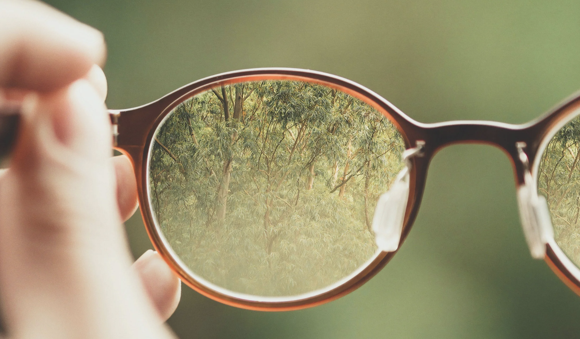 Take Your Next Step With Confidence &amp; Clarity Using Brainspotting Therapy In Mesa, AZ