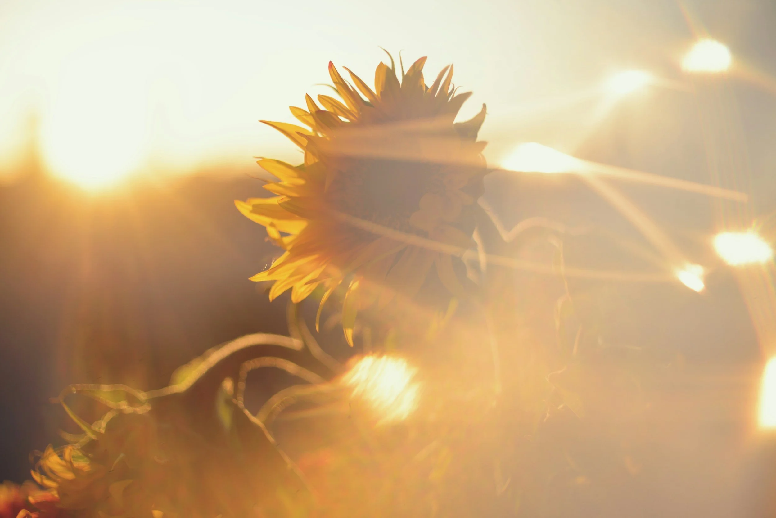 Faith and Spiritual Support in Therapy, Mesa, Arizona