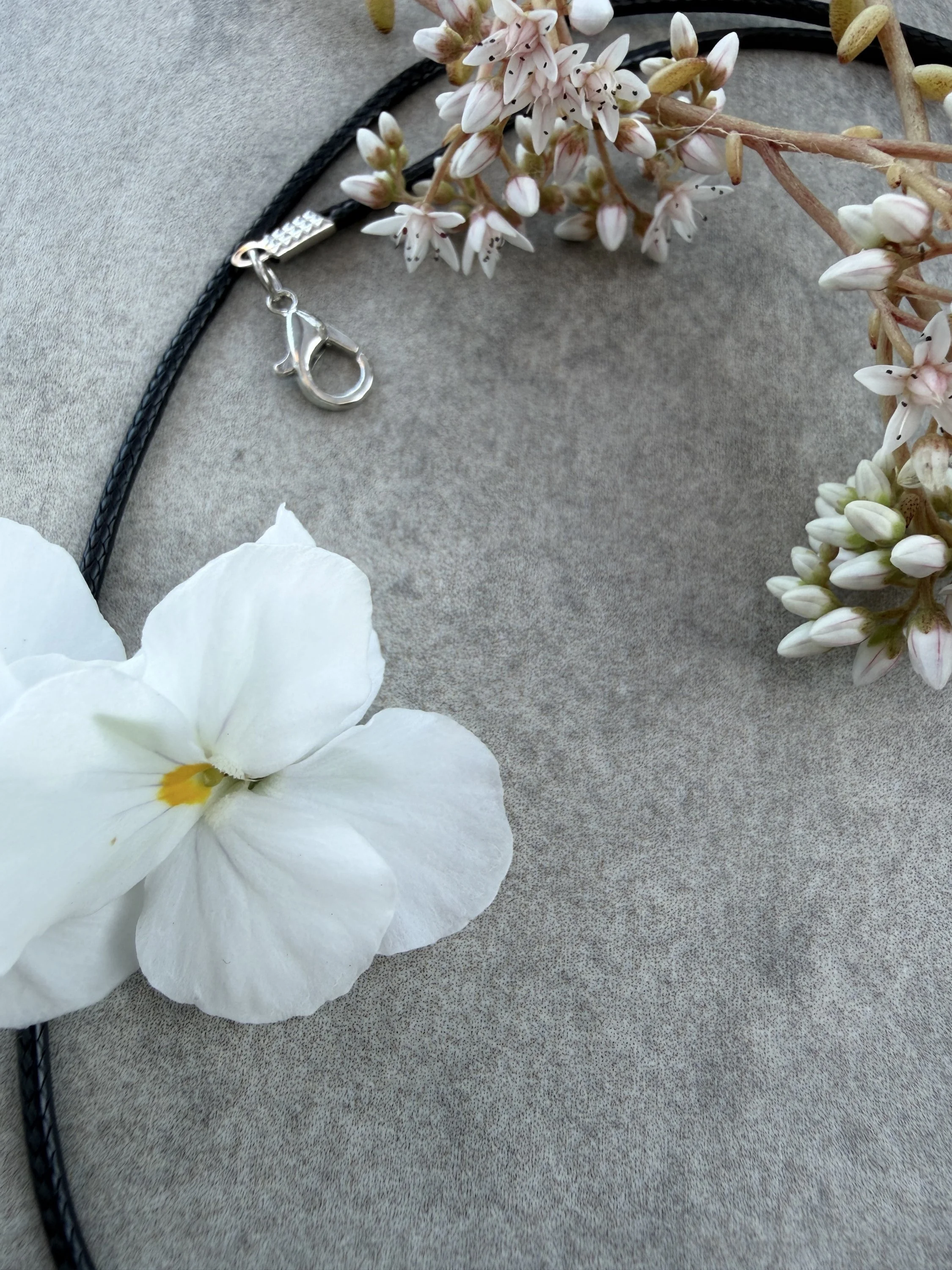 Black waxed cord with silver clasp — included with Moonveil bark pendant, Bark & Grain Studio