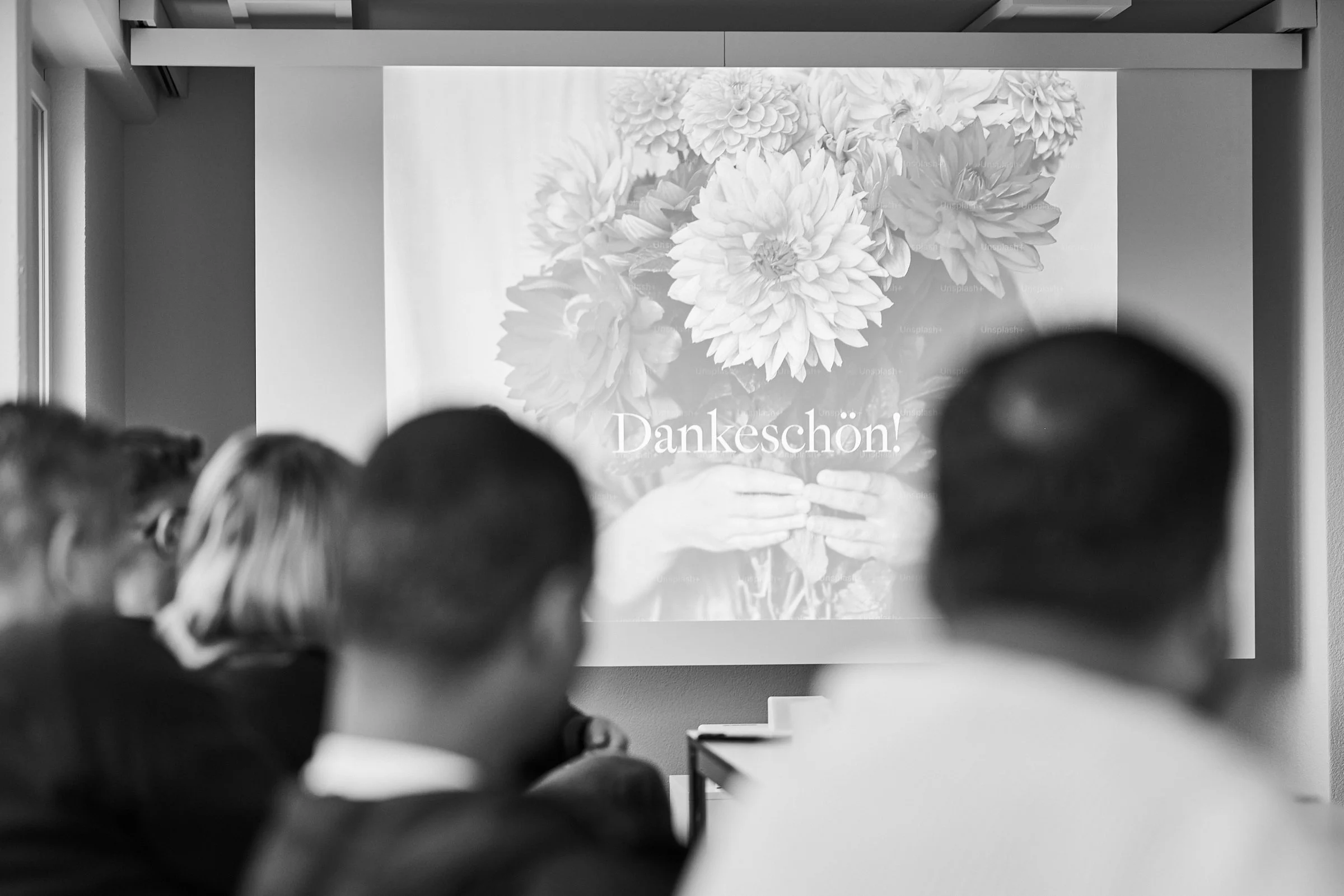 sandra-dimo-markenbegleitung-workshops-für-alpha-plan-ag-linkedin-21.jpg