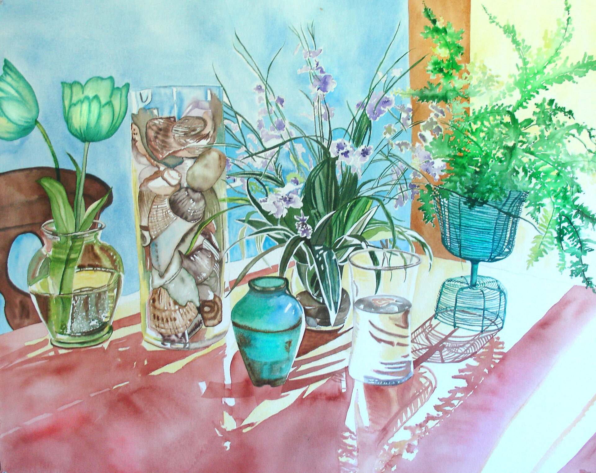 Shells and Ferns.jpg