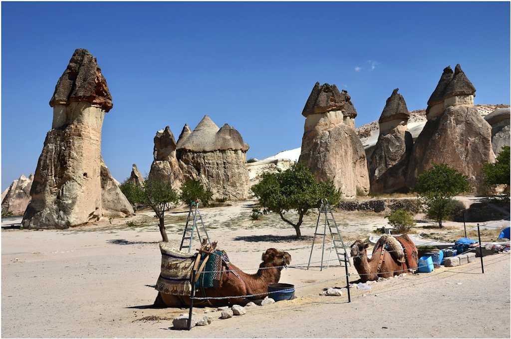 8-Paşabağı.jpg