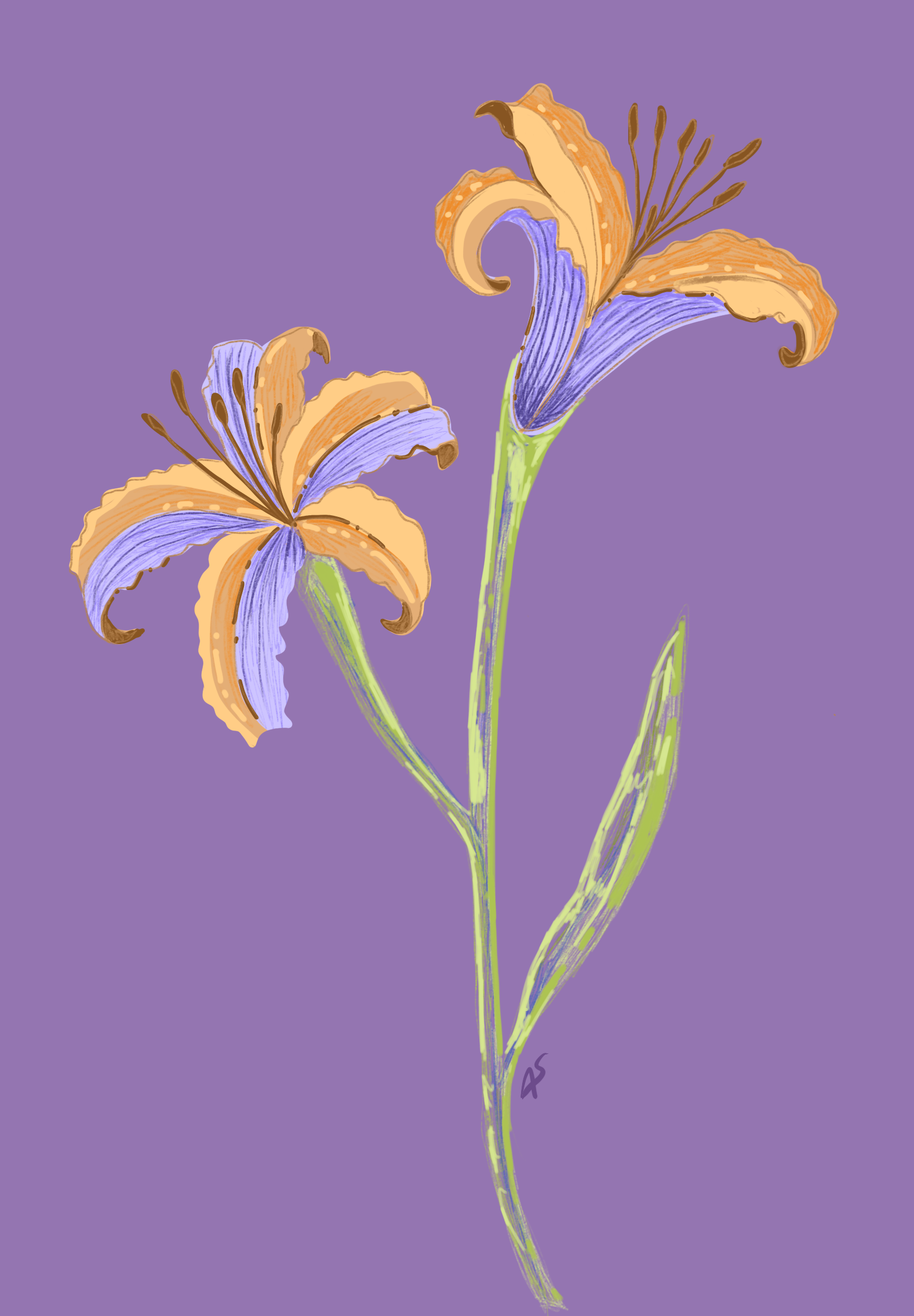 Untitled_Artwork 72.png