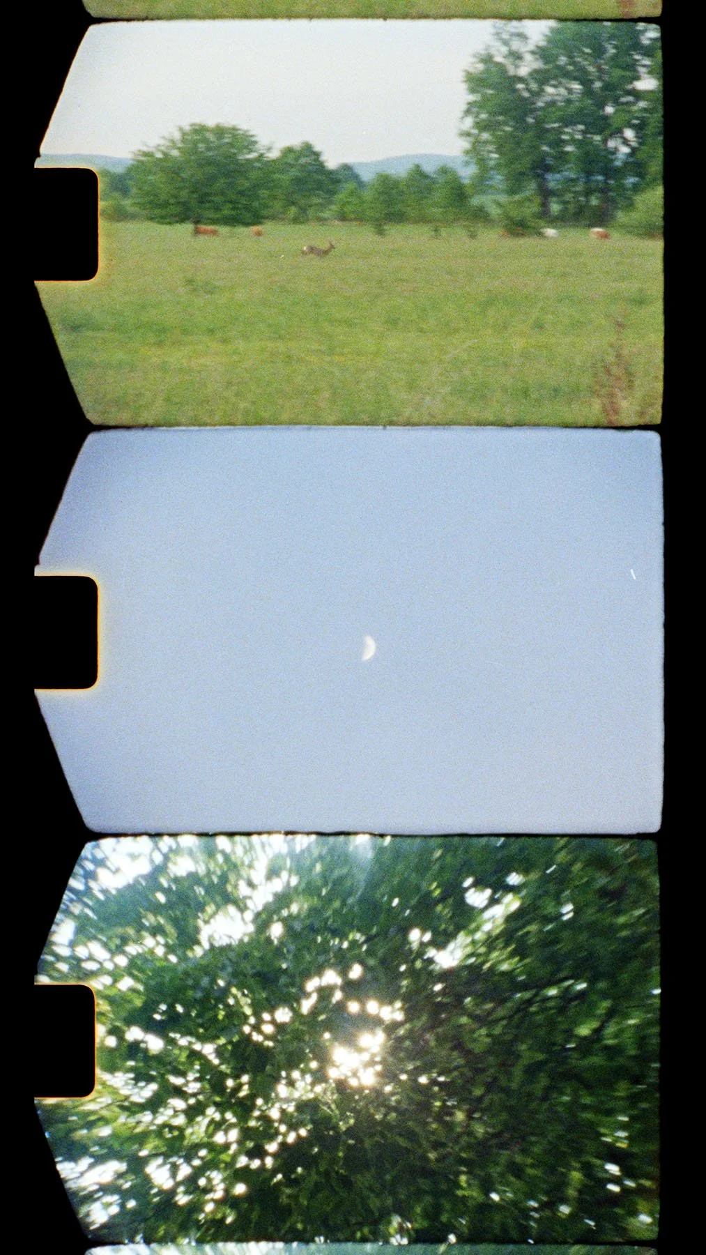 PrettySoon-DiegoandtheMoon-EwelinaBialoszewska-03-2.jpg