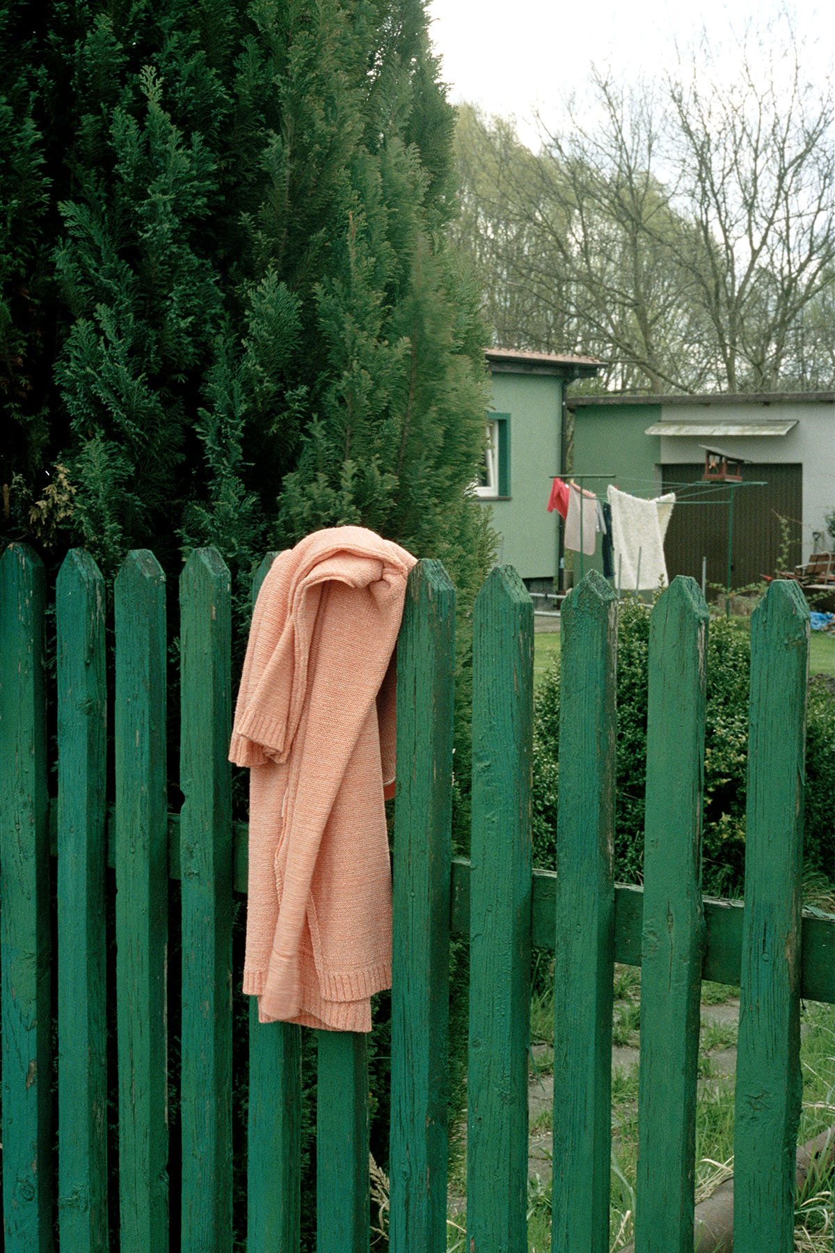 motherland_19.jpg