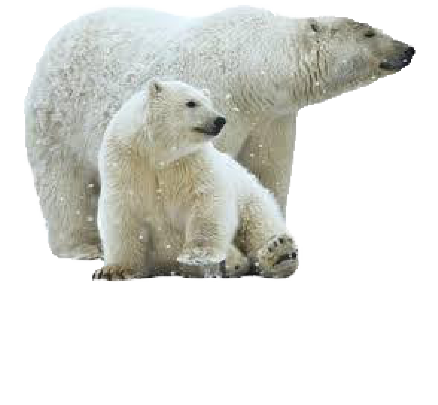 Parker VIllage Foundation