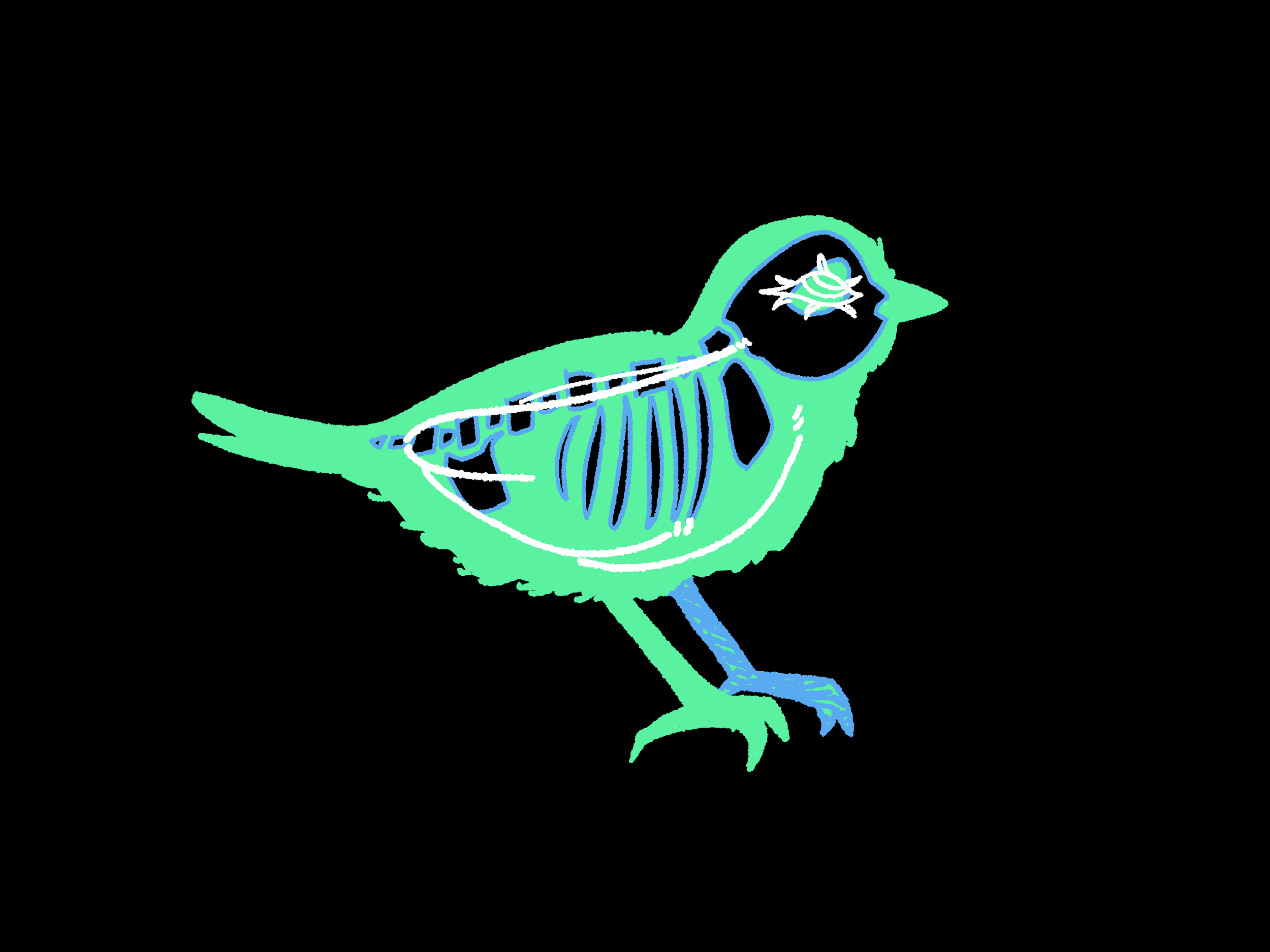 House_Sparrow.png