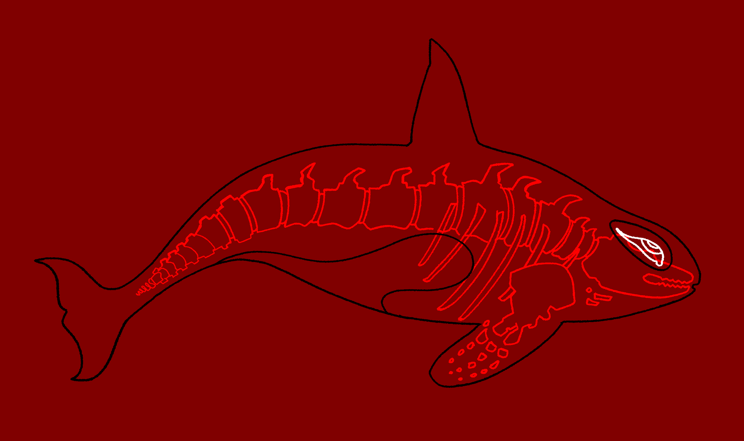 IMG_0563.PNG