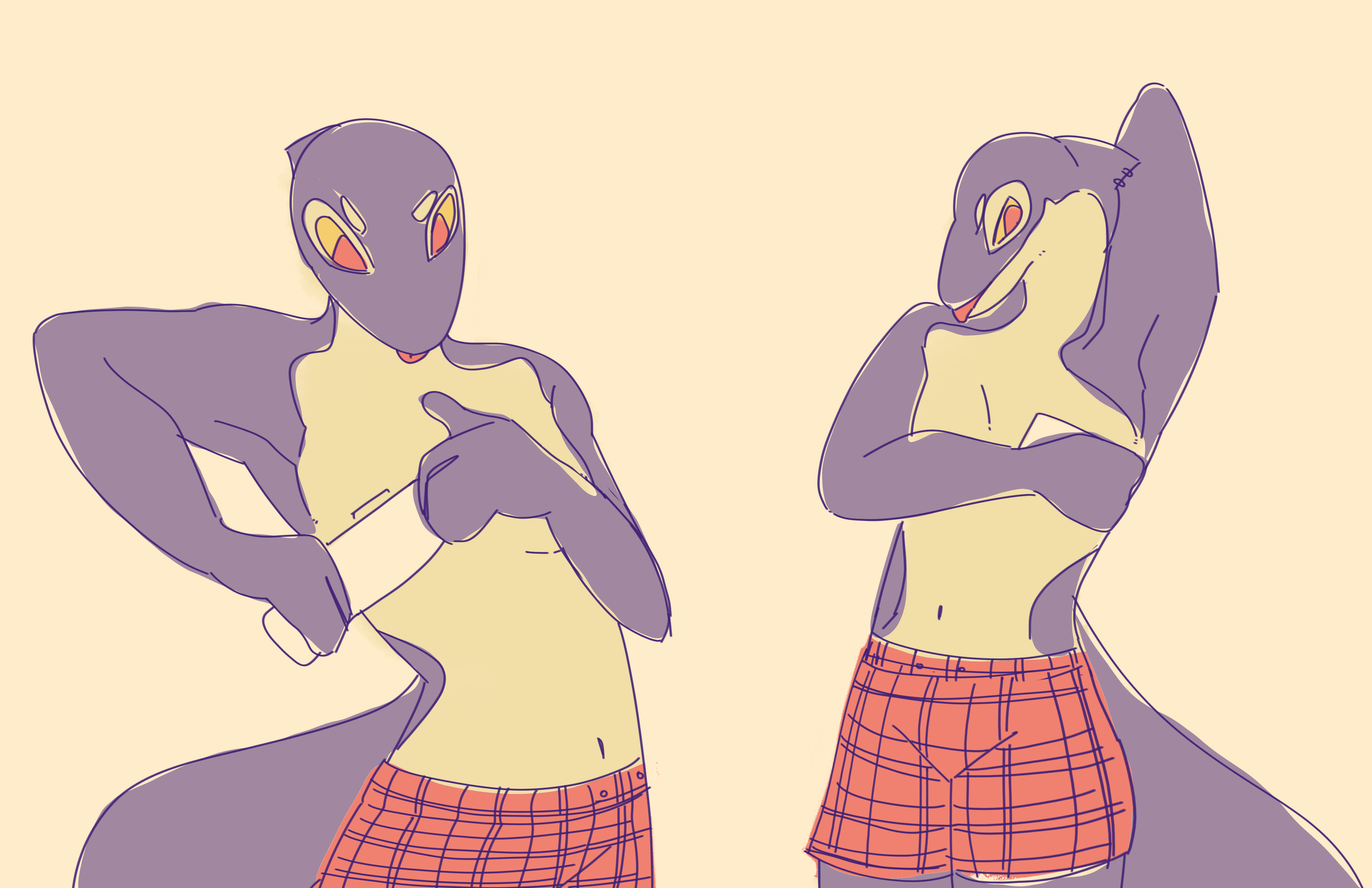 transtape-finn.png