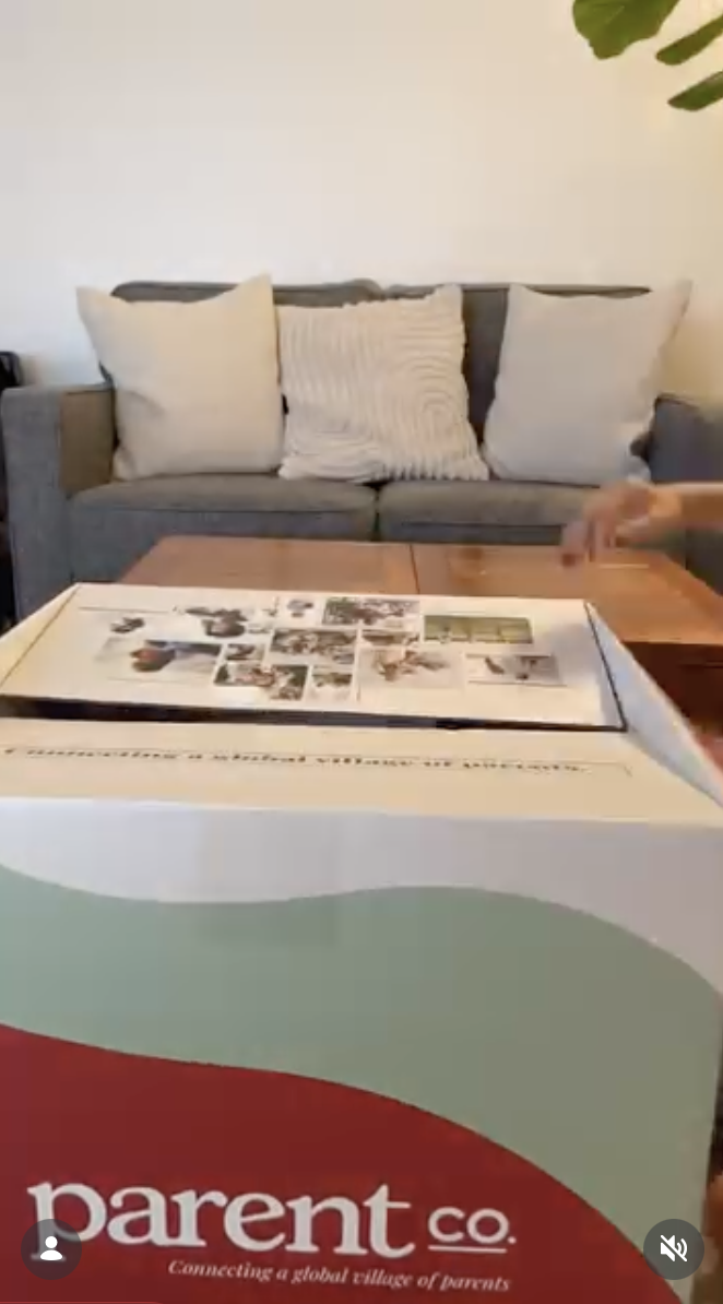 Potty Training Essentials Influencer Box by ParentCo.