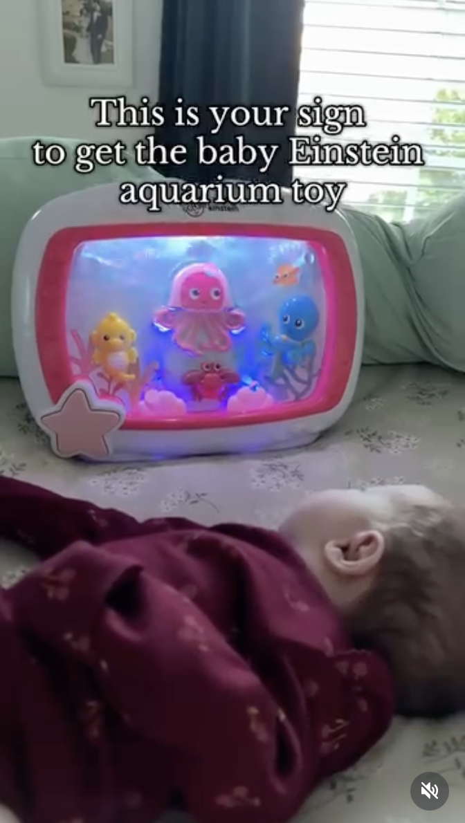 Screenshot 2026-02-24 at 4.48.21 PM.png