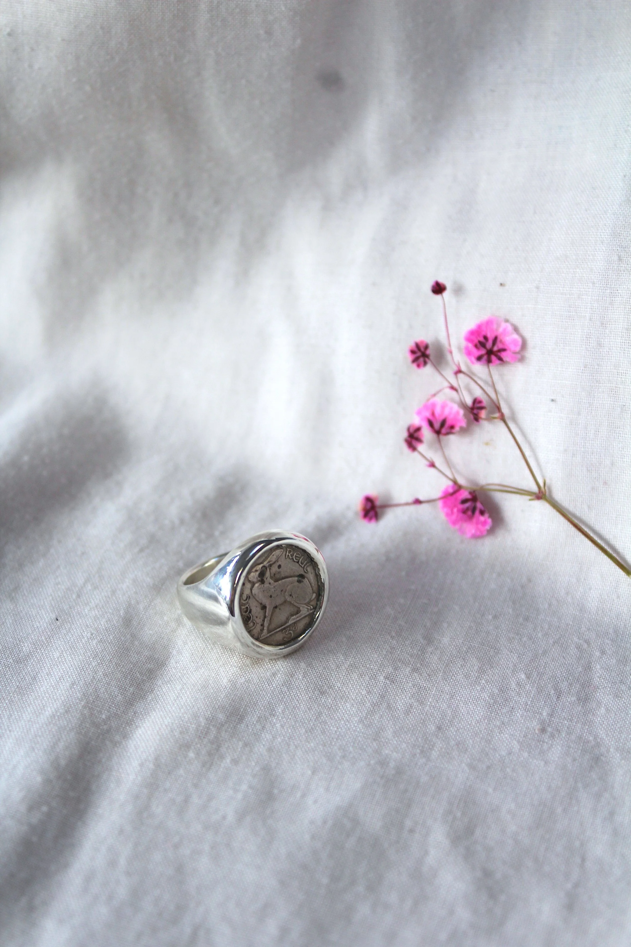 The Silver Hare