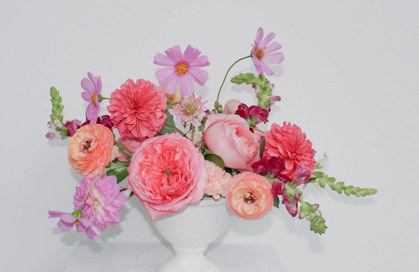 Pink for February? Groundbreaking. 🩷🩷

#virginiaflorist #williamsburgflorist #virginabeachflorist #richmondflorist #weddingflowers