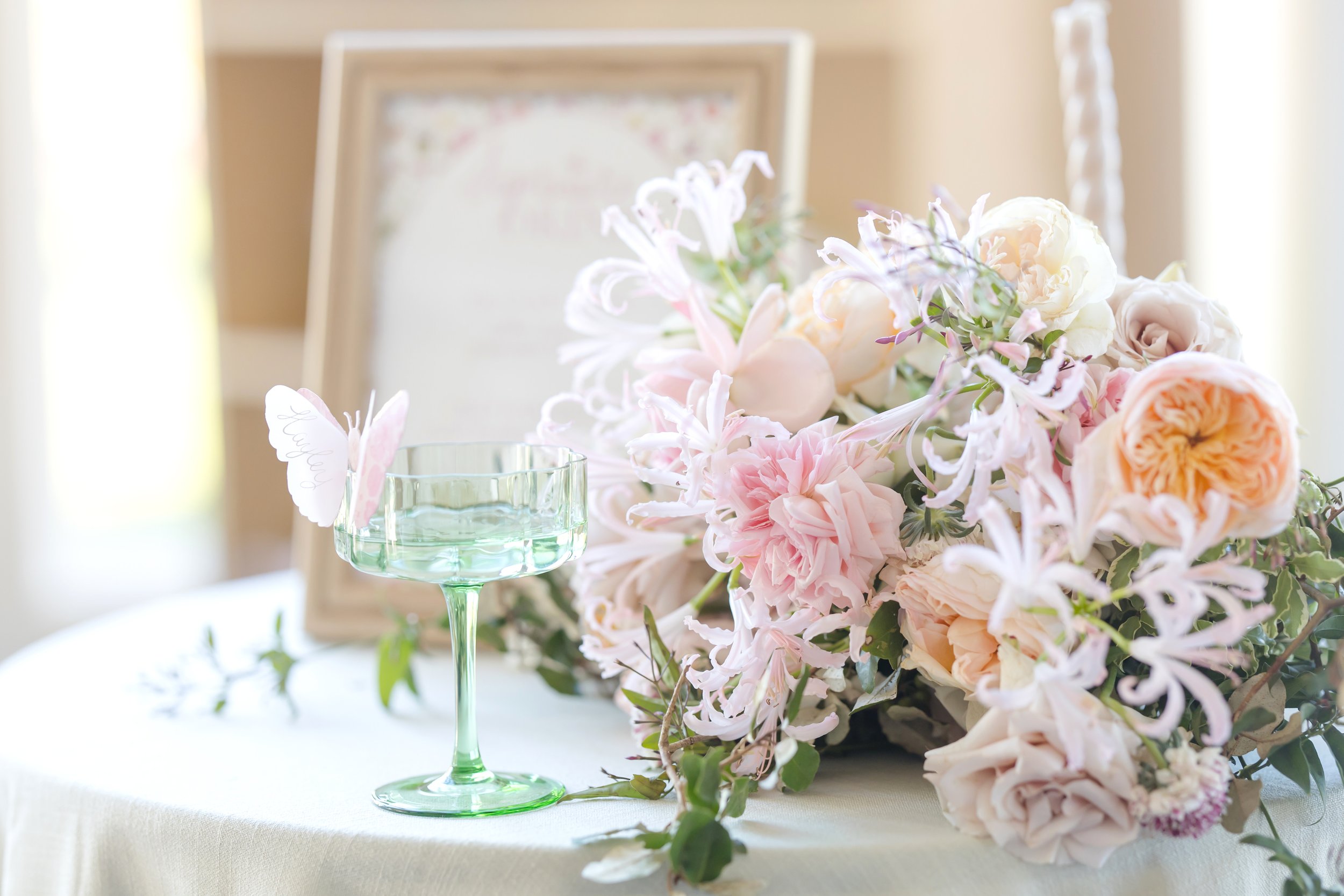 Anna Grace Photography
